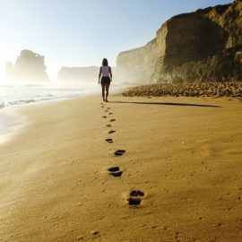 發展歷程 發展歷程